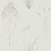 Farne Grasses 216488